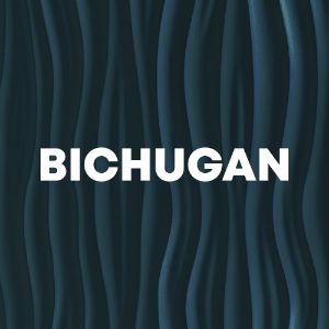 Bichugan cover