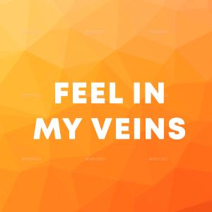 Feel In My Veins cover