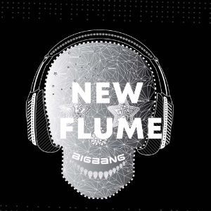 New Flume cover