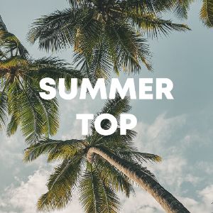 Summer Top cover
