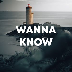 Wanna Know cover