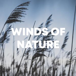 Winds Of Nature cover