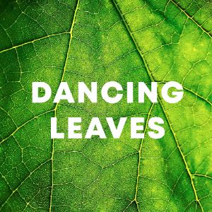 Dancing Leaves cover