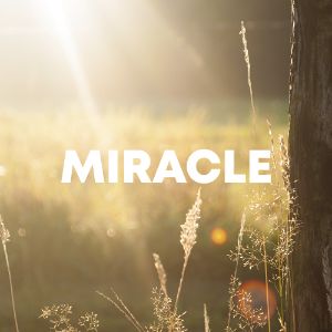 Miracle cover