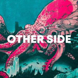 Other Side cover