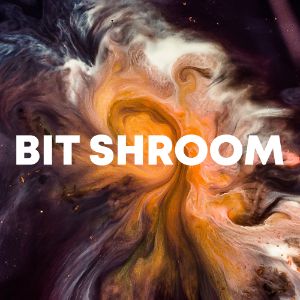 Bit Shroom cover