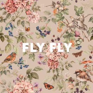 Fly Fly cover
