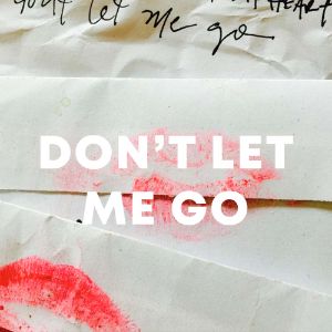 Don't Let Me Go cover