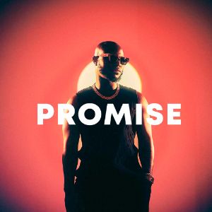 Promise cover