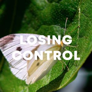 Losing Control cover