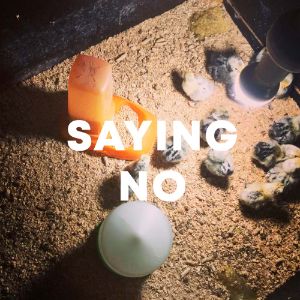 Saying No cover