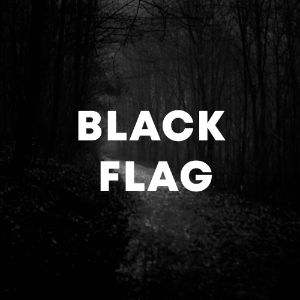 Black Flag cover