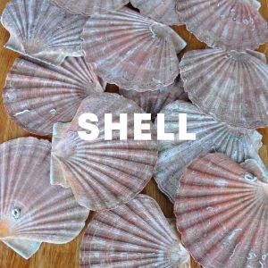 Shell cover