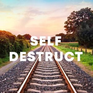 Self Destruct cover