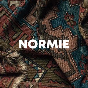 Normie cover