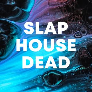 Slap House Dead cover