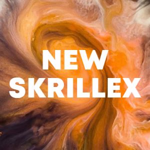 New Skrillex cover