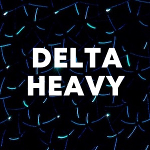 Delta Heavy cover