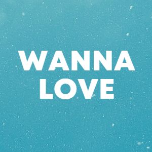 Wanna Love cover