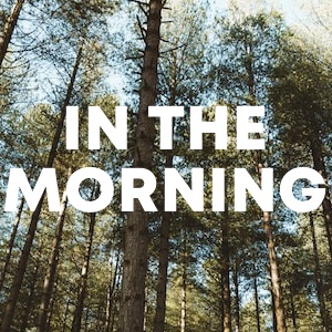 In The Morning cover