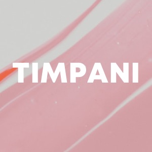 Timpani cover