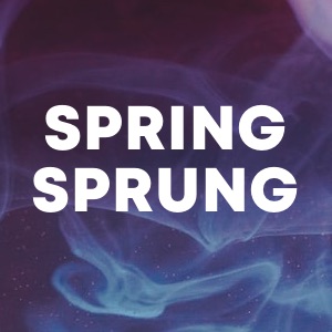 Spring Sprung cover