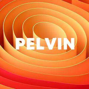 PELVIN cover