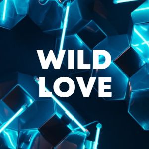 Wild Love cover