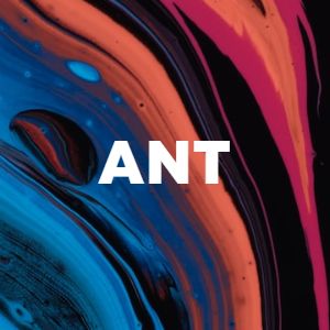 Ant cover