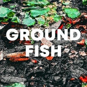 Ground Fish cover