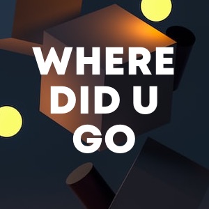 Where Did U Go cover