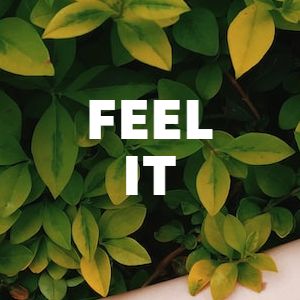 Feel It cover