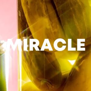 MIRACLE cover