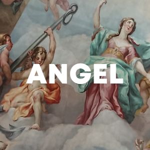 ANGEL cover