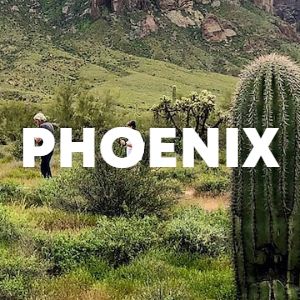 Phoenix cover