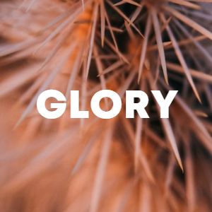 Glory cover