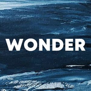 Wonder cover