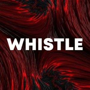 Whistle cover