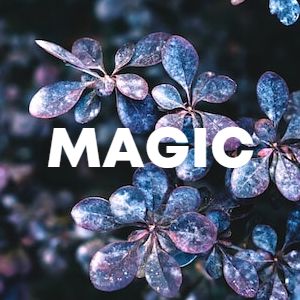 Magic cover