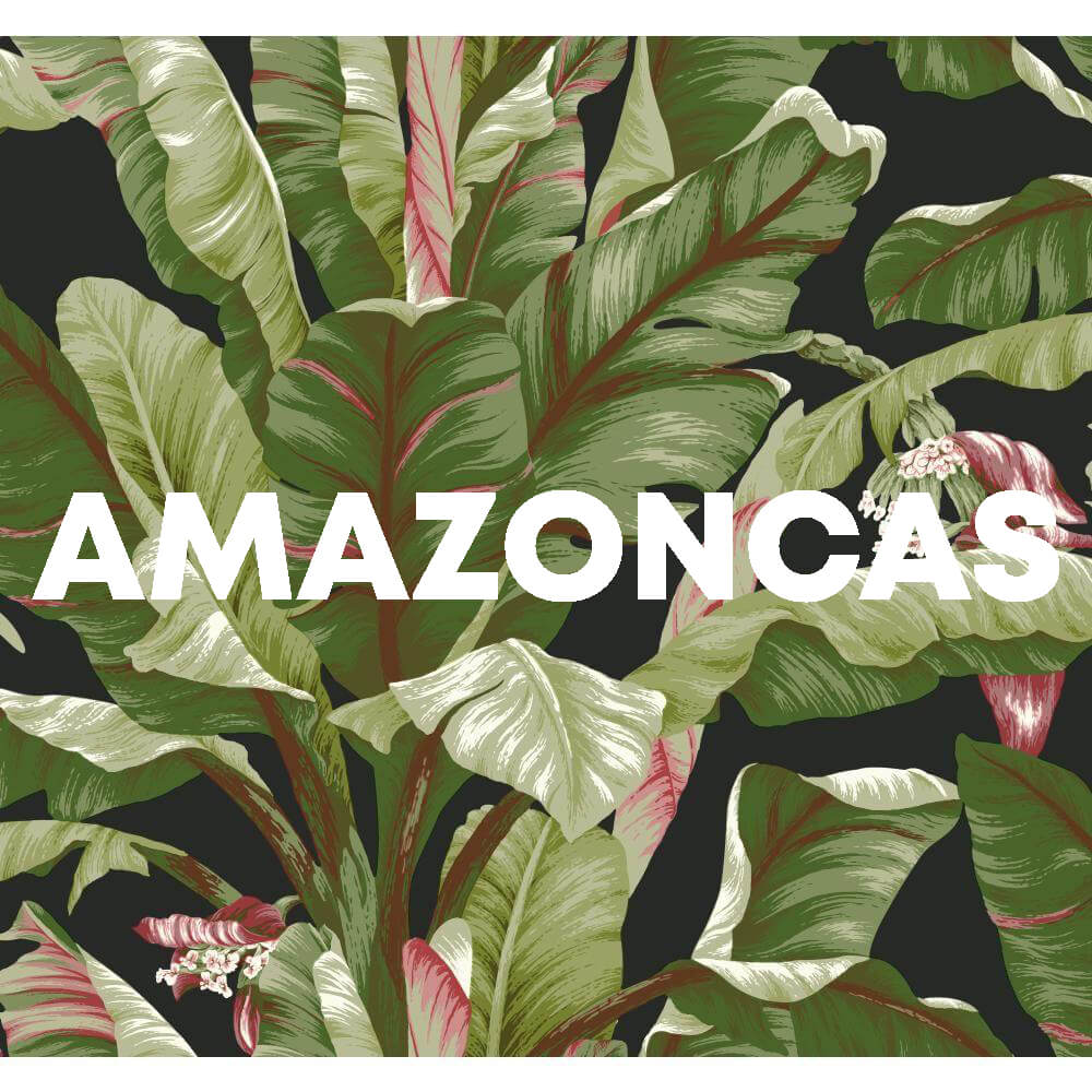 Amazonas cover