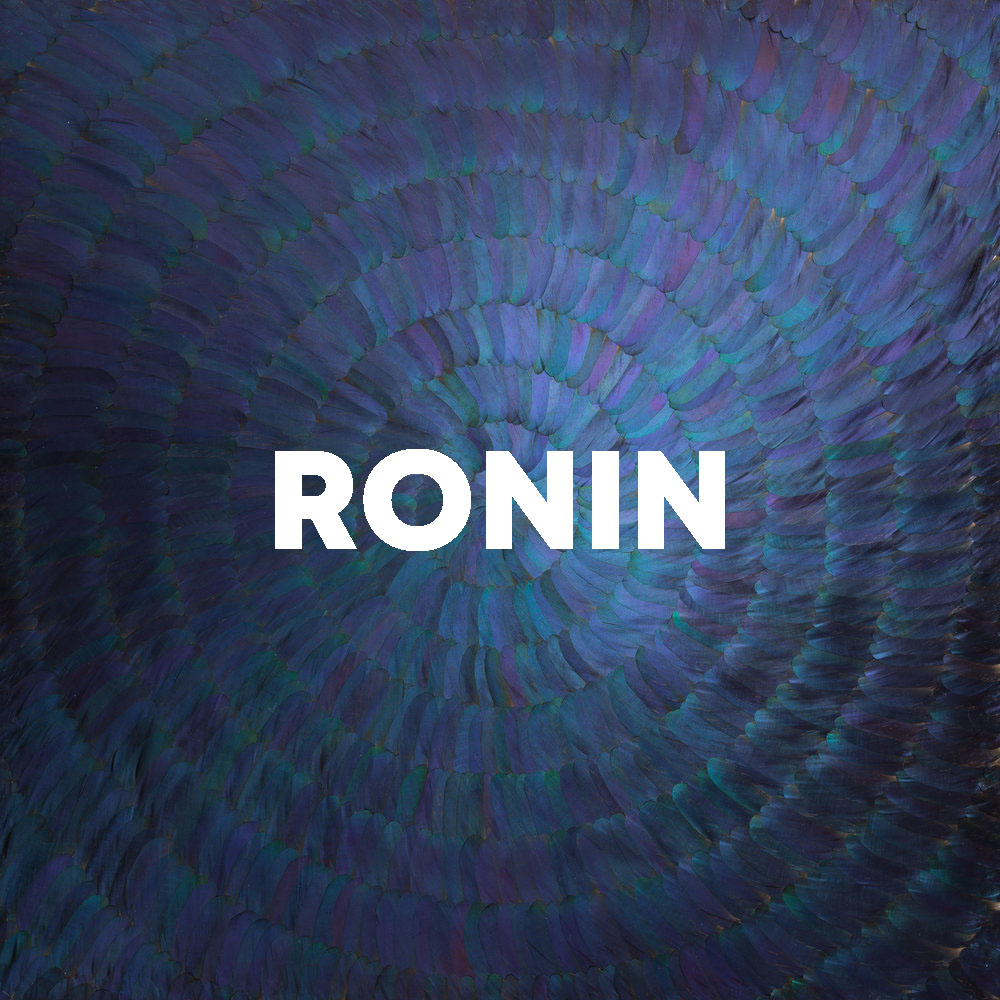 Ronin cover