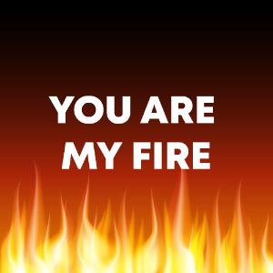 You Are My Fire cover