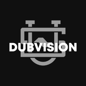 DubVision cover