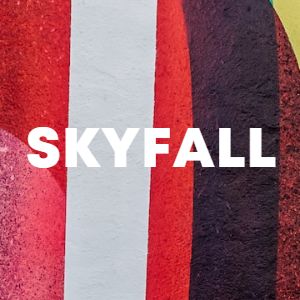 Skyfall cover