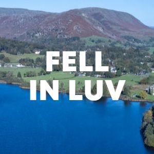 Fell In Luv cover