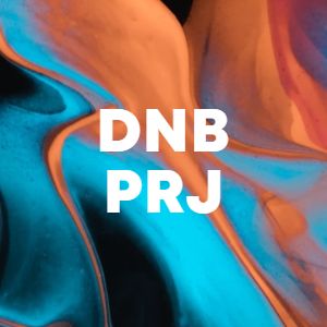 DNB PRJ cover