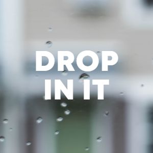 Drop In It cover