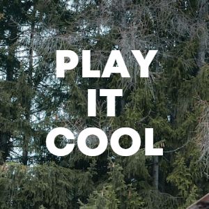 Play It Cool cover