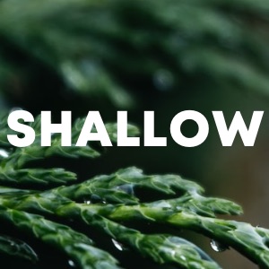 Shallow cover