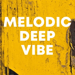 Melodic Deep Vibe cover